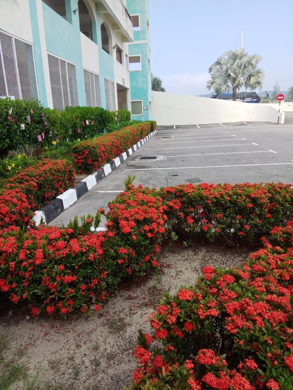 Glossy Marina Homestays Lumut Exterior photo